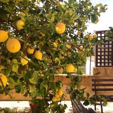 Villa Mara B&B Noto Esterno foto