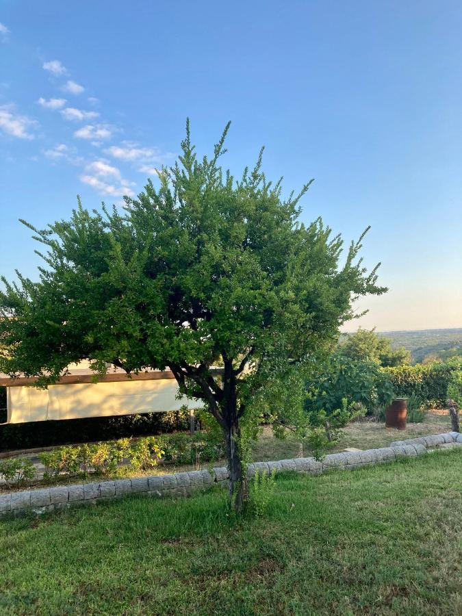 Villa Mara B&B Noto Esterno foto
