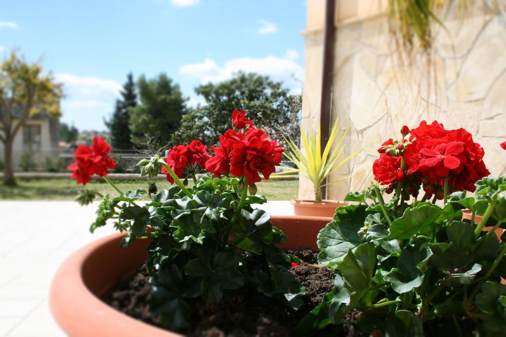 Villa Mara B&B Noto Esterno foto