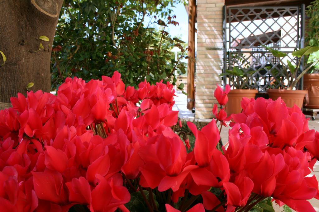 Villa Mara B&B Noto Esterno foto