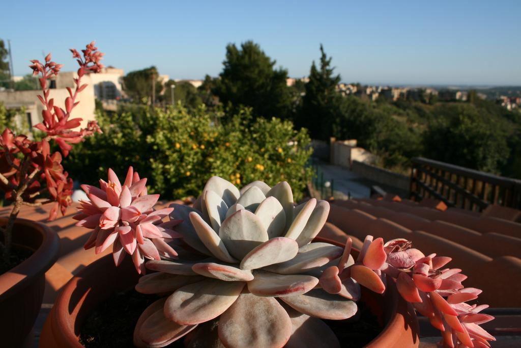Villa Mara B&B Noto Esterno foto