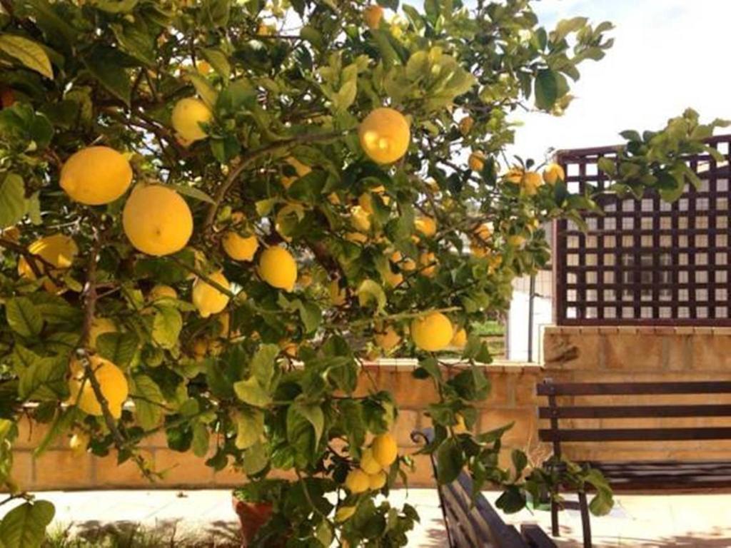 Villa Mara B&B Noto Esterno foto